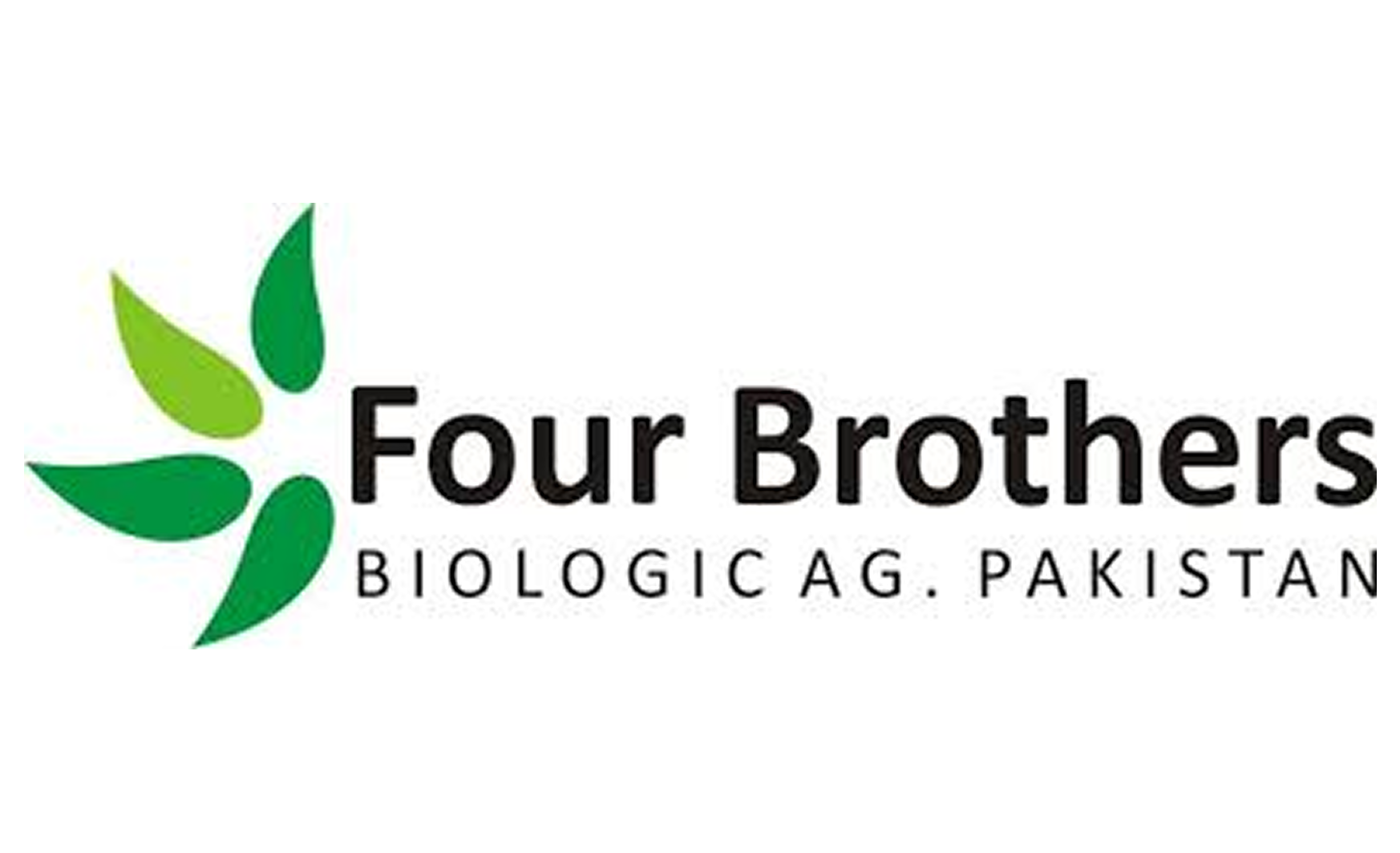 Four brothers